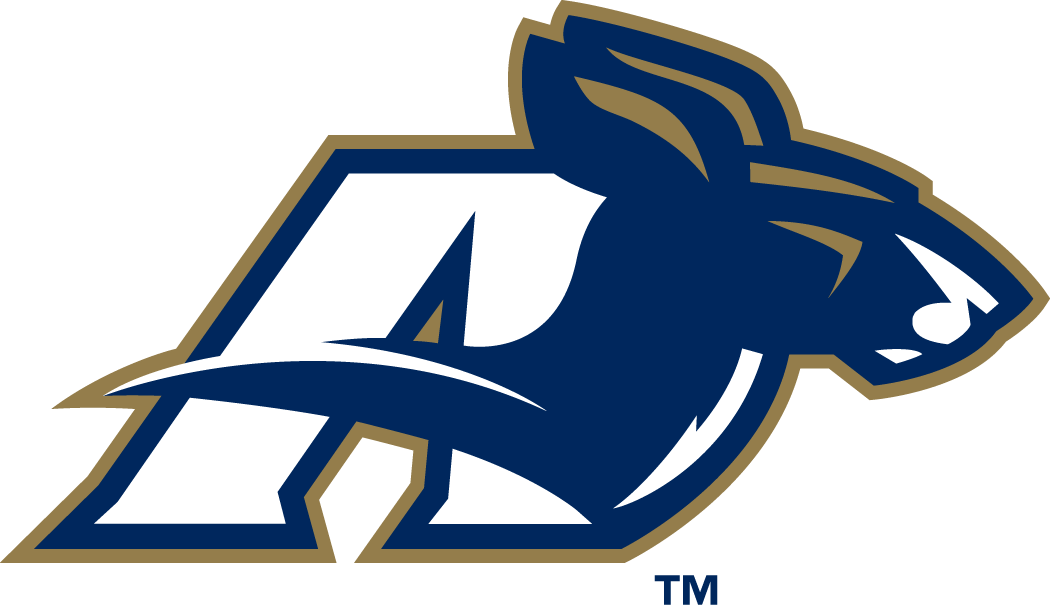 Akron Zips 2002-Pres Alternate Logo v3 DIY iron on transfer (heat transfer)